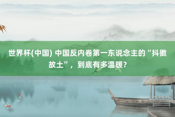 世界杯(中國) 中國反內卷第一東說念主的“抖擻故土”,到底有多溫暖?