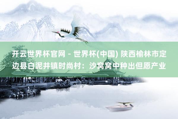 開云世界杯官網 - 世界杯(中國) 陜西榆林市定邊縣白泥井鎮時尚村:沙窩窩中種出但愿產業