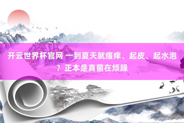 開(kāi)云世界杯官網(wǎng) 一到夏天就瘙癢、起皮、起水泡？正本是真菌在煩躁